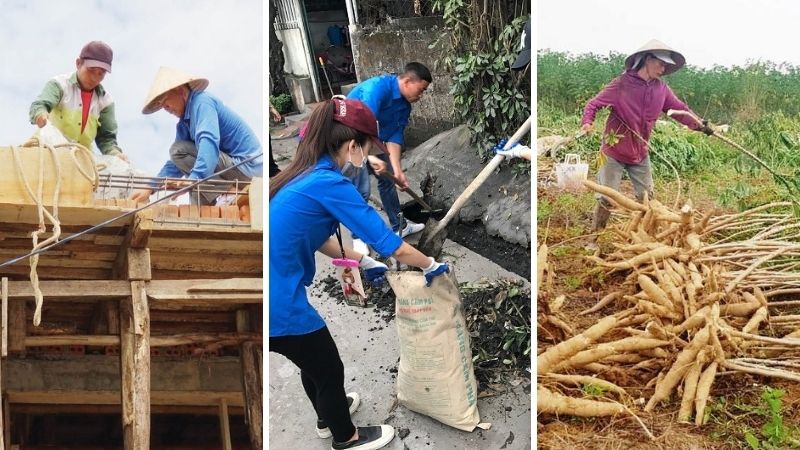 Giai đoạn 1: HÀNH ĐỘNG NGAY (Trong 2-4 giờ đầu) Giai đoạn 1: HÀNH ĐỘNG NGAY (Trong 2-4 giờ đầu)