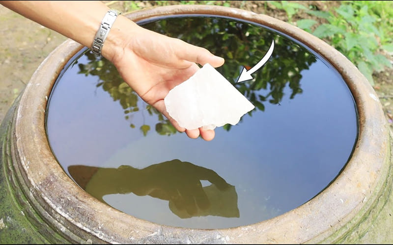 Bước 1 – Làm trong nước bằng Phèn chua