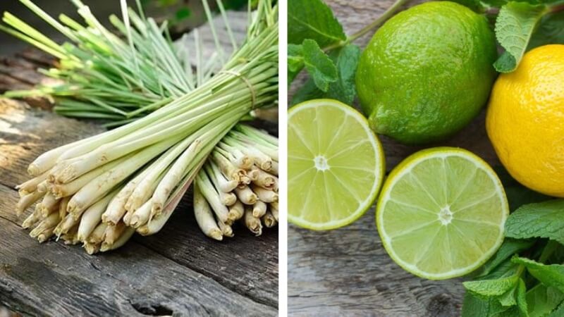 Sử dụng Sả cây và Chanh tươi
