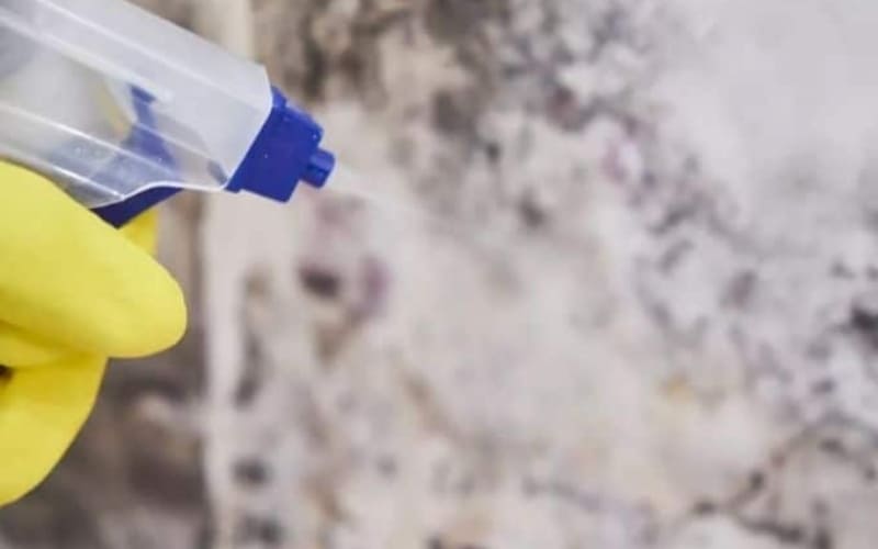 Các gói hút ẩm hấp thụ mùi ẩm và hơi nước dư.