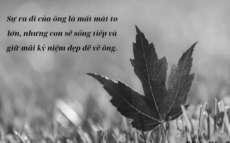 Hướng dẫn cách viết và hành xử khi chia buồn để thể hiện sự đồng cảm, trang trọng và tế nhị Hướng dẫn cách viết và hành xử khi chia buồn để thể hiện sự đồng cảm, trang trọng và tế nhị