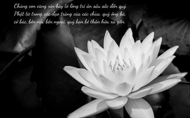 Lời chia buồn ngắn gọn, dễ ghi nhớ và gửi nhanh đến gia quyến Lời chia buồn ngắn gọn, dễ ghi nhớ và gửi nhanh đến gia quyến