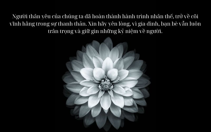 Các hướng dẫn cơ bản để viết lời chia buồn phù hợp và trang trọng Các hướng dẫn cơ bản để viết lời chia buồn phù hợp và trang trọng