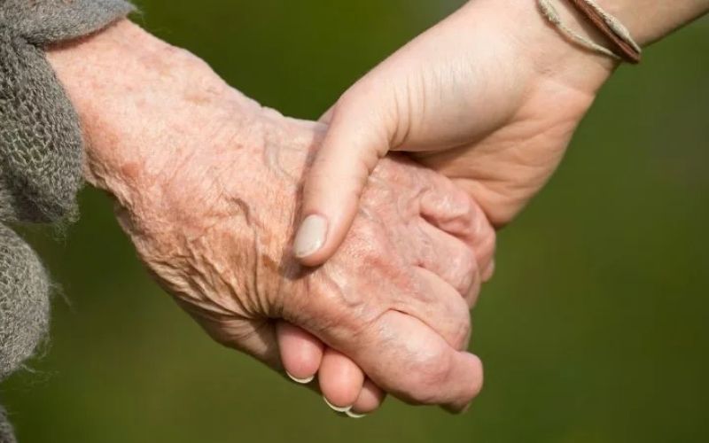 Mẫu lời chia buồn dành riêng cho gia đình khi bà qua đời, trang trọng và cảm động Mẫu lời chia buồn dành riêng cho gia đình khi bà qua đời, trang trọng và cảm động