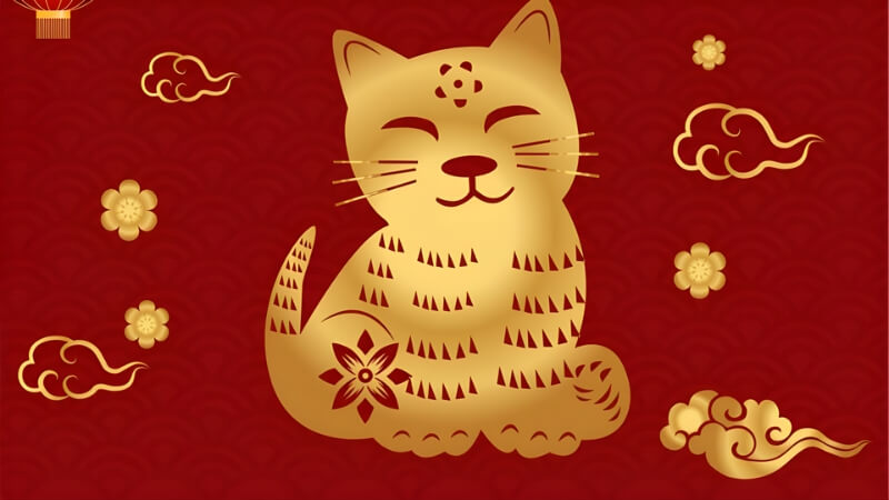 Tuổi Mão (Mèo) – Cần cẩn trọng về sức khỏe, duy trì cân bằng đời sống