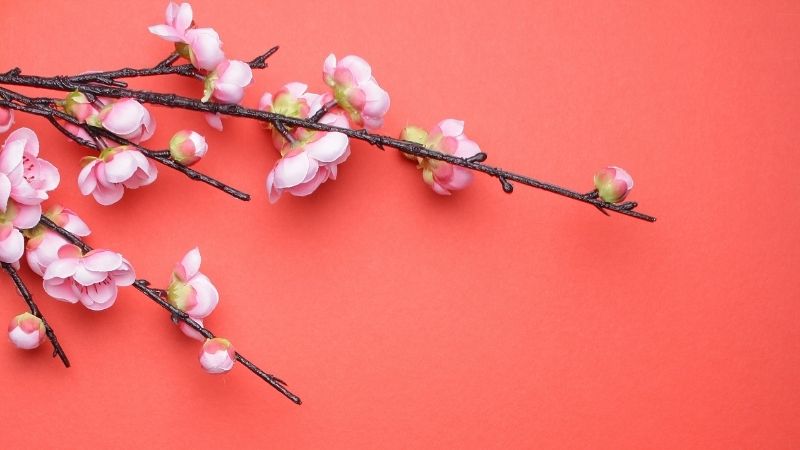 Background năm mới 2026 phong cách hiện đại 1