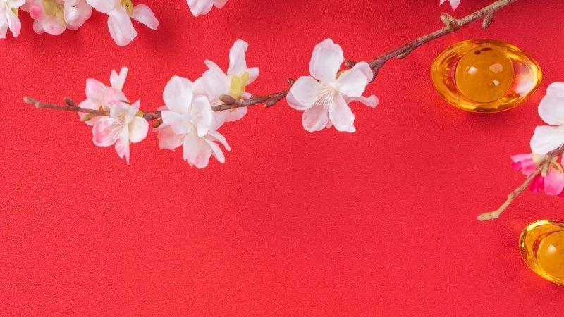 Background Tết 2026 phong cách truyền thống 16