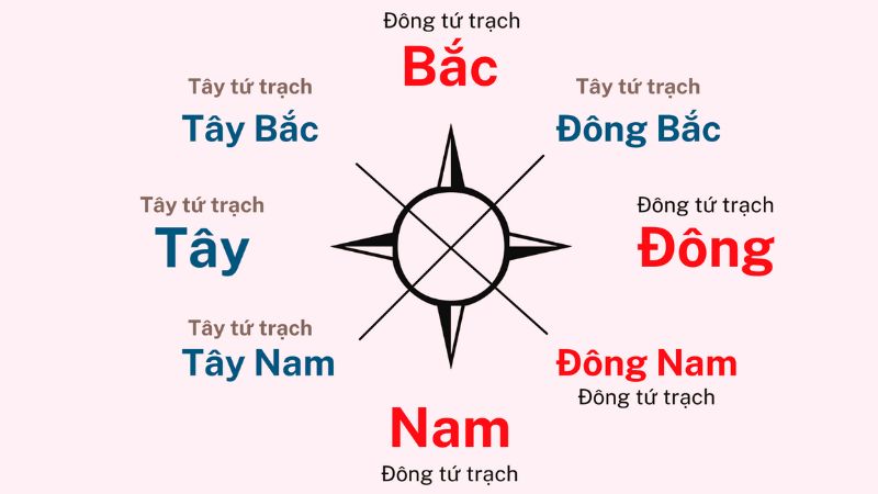 Tùy thuộc vào năm sinh và giới tính để chọn hướng cho tuổi Thìn Tùy thuộc vào năm sinh và giới tính để chọn hướng cho tuổi Thìn