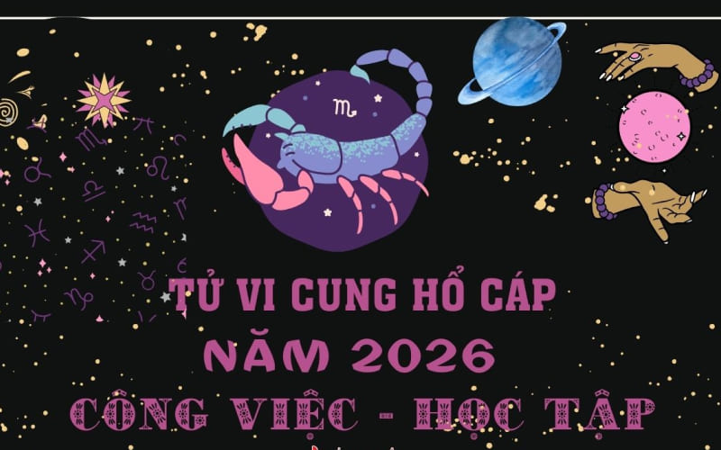 Về sự nghiệp và học tập