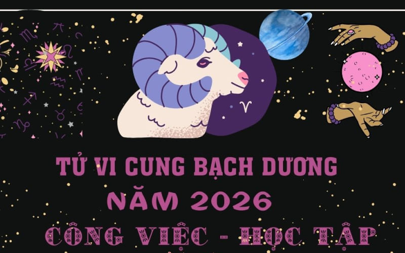 Về sự nghiệp, học tập