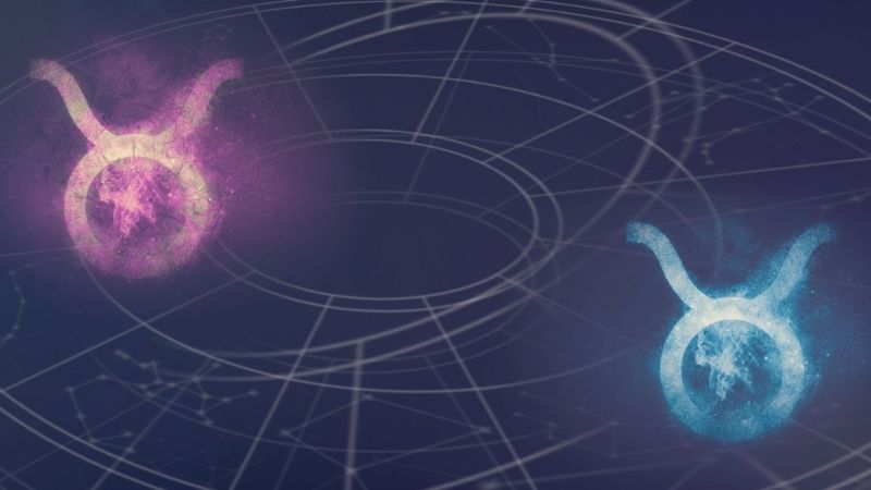 Tổng quan tử vi cung Kim Ngưu năm 2026