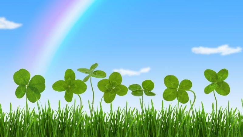 Năm 2026 đem đến nhiều may mắn cho Song Tử