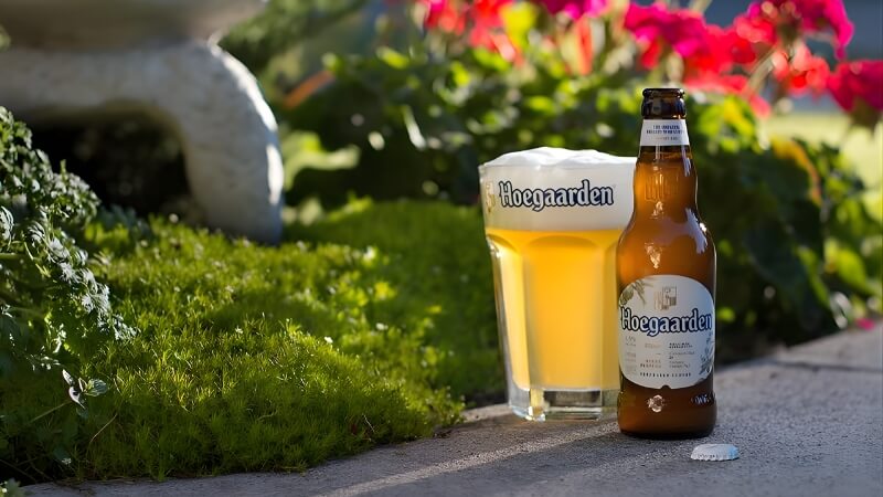 Hoegaarden (Bia Bỉ) Hoegaarden (Bia Bỉ)