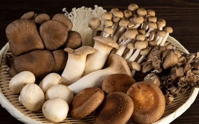 Nấm mang vị ngọt thanh, làm nước lẩu đậm đà. Nấm mang vị ngọt thanh, làm nước lẩu đậm đà.