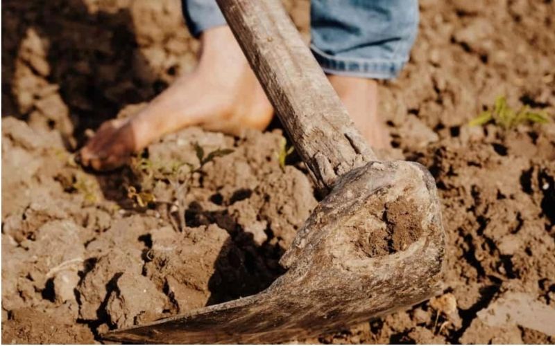 Cuốc đất đúng nghi lễ giúp công trình thuận lợi và vượng khí Cuốc đất đúng nghi lễ giúp công trình thuận lợi và vượng khí