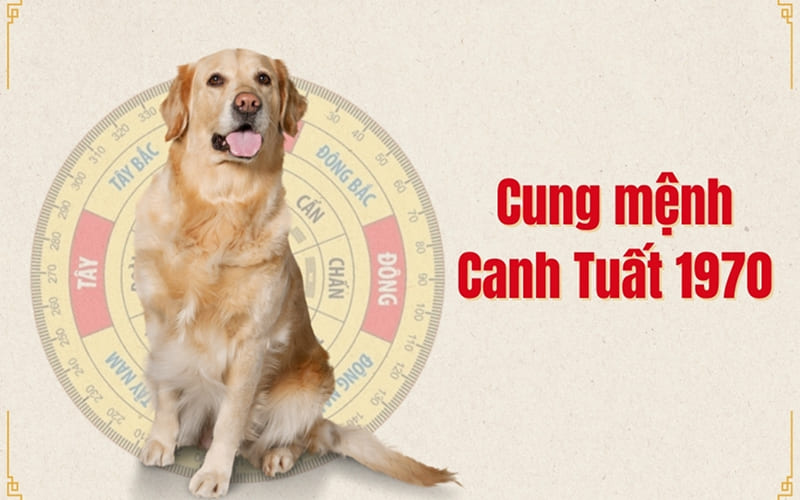 Canh Tuất (1970) – 57 tuổi Canh Tuất (1970) – 57 tuổi