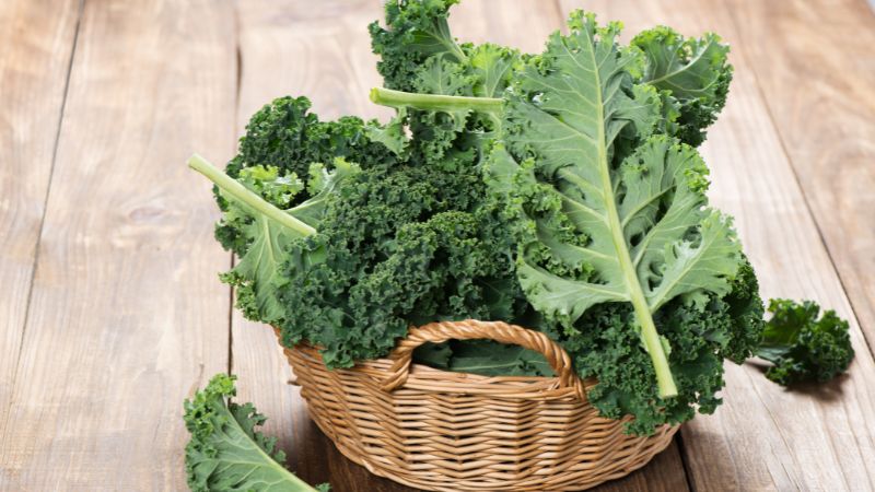 Cải xoăn giàu Canxi và Sắt, giúp giảm chuột rút và bù đắp năng lượng Cải xoăn giàu Canxi và Sắt, giúp giảm chuột rút và bù đắp năng lượng