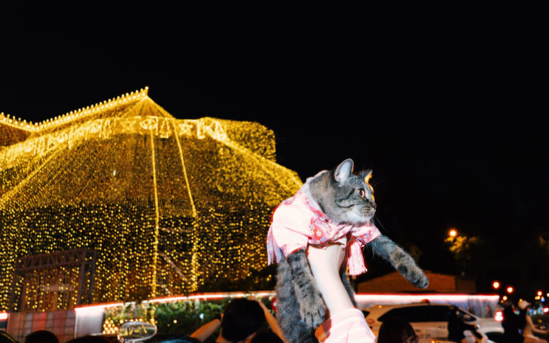 Nhà thờ Đức Bà Sài Gòn 2025