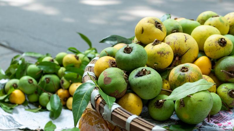 Quả thị là quả gì?