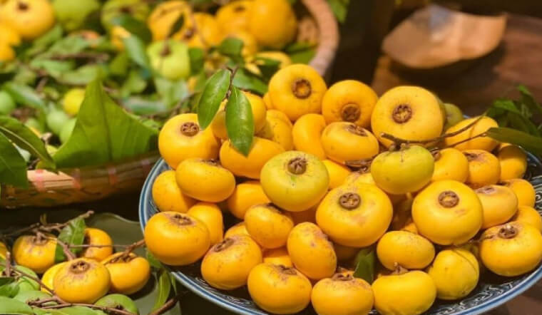 Quả thị có ăn được không? Tác dụng và lưu ý khi ăn thị