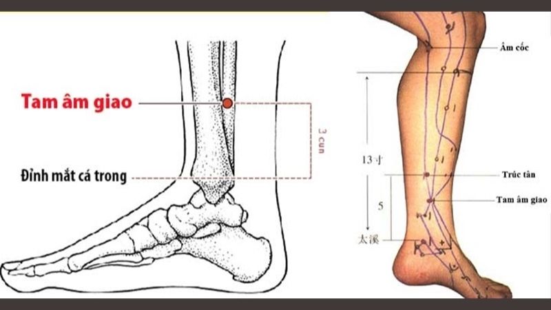 Huyệt Tam Âm Giao
