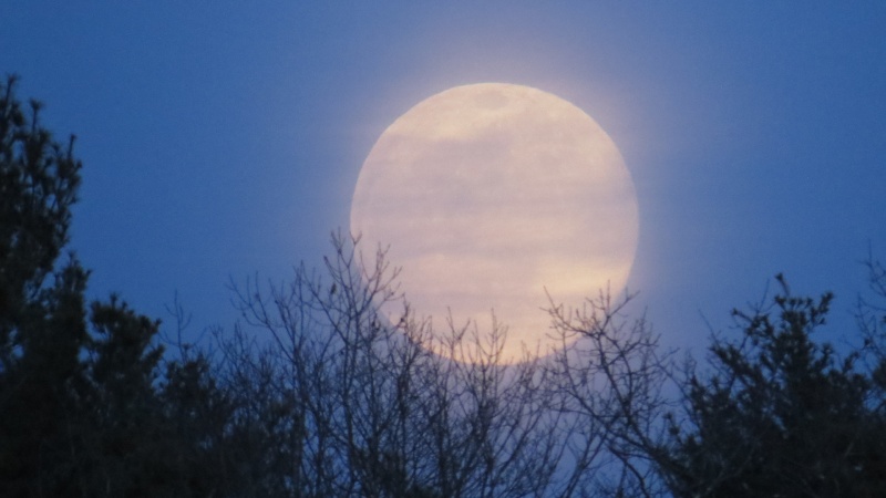 Siêu Trăng Lạnh là gì? Giải mã tên gọi bí ẩn Siêu Trăng Lạnh là gì? Giải mã tên gọi bí ẩn