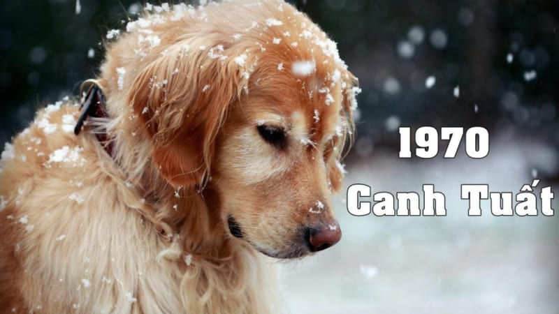 Người sinh năm 1970 tuổi gì?