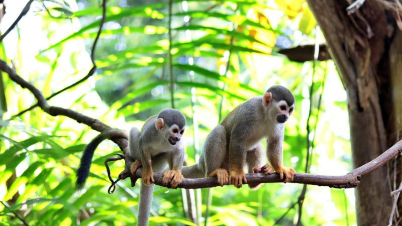 Cung mệnh của năm sinh Mậu Thân 1968 là Khôn cho nam và Khảm cho nữ