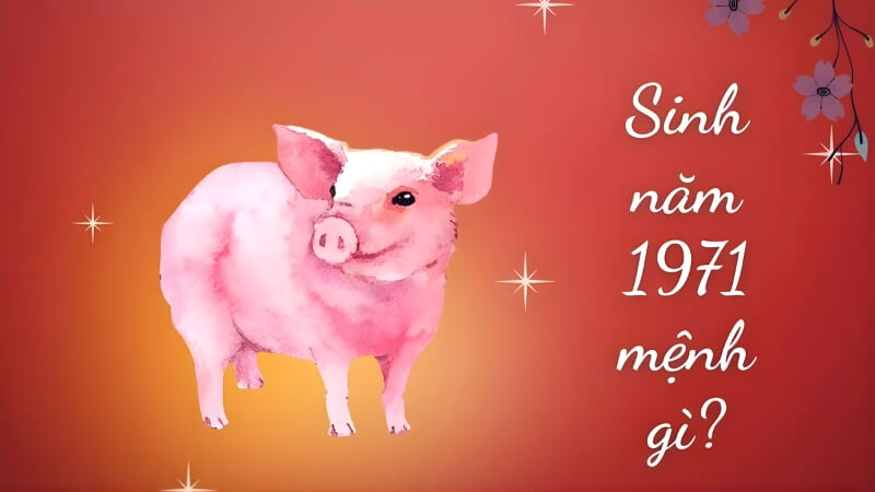 Người sinh năm 1971 mệnh Kim Người sinh năm 1971 mệnh Kim