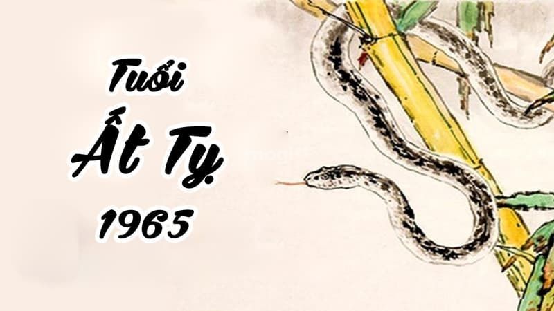 Người sinh năm 1965 là tuổi gì?