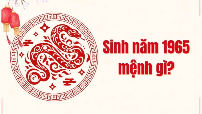 Người sinh năm 1965 mệnh gì?