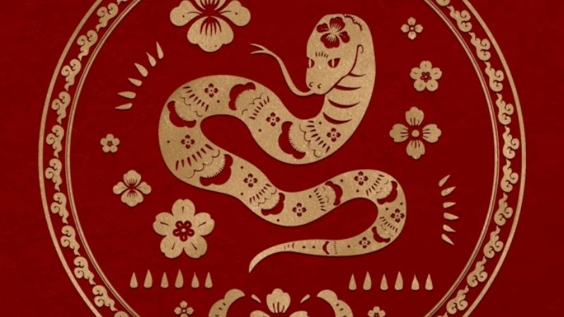 Sinh năm 1965 hợp hướng nào?