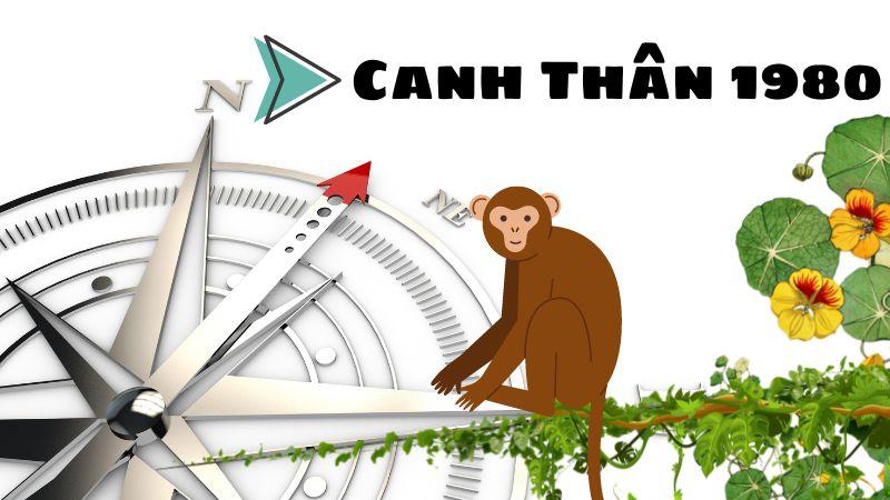 Sinh năm 1980 hợp hướng nào?