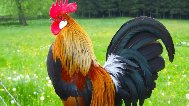 Người sinh năm 1957 là tuổi gì? Người sinh năm 1957 là tuổi gì?