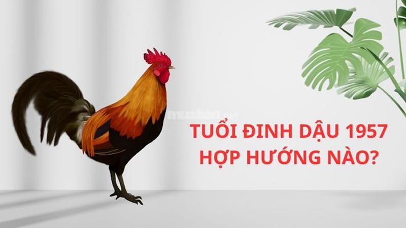Sinh năm 1957 hợp hướng nào? Sinh năm 1957 hợp hướng nào?