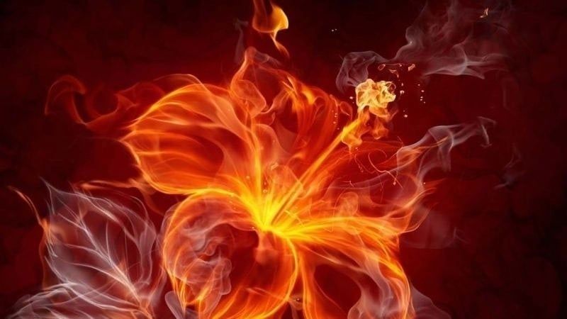 Các gam màu tương sinh thuộc hành Hỏa