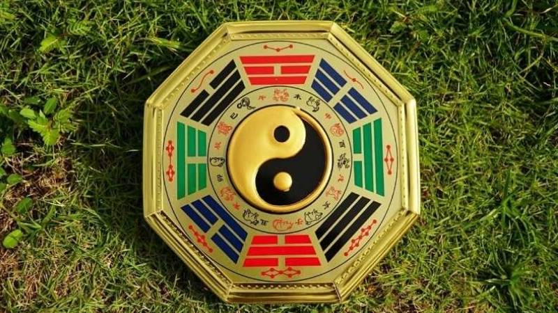 Cung mệnh Chấn thuộc hành Mộc