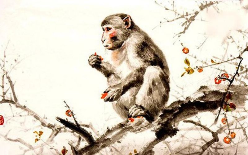 Nhâm Thìn hợp Bính Thân, Mậu Tuất và một số tuổi Tam Hợp – Lục Hợp