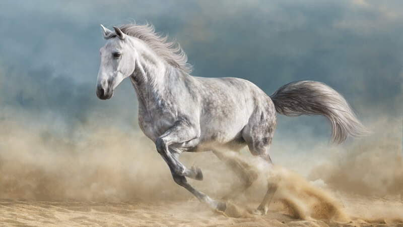 Vật phẩm phong thủy hợp tuổi 1966