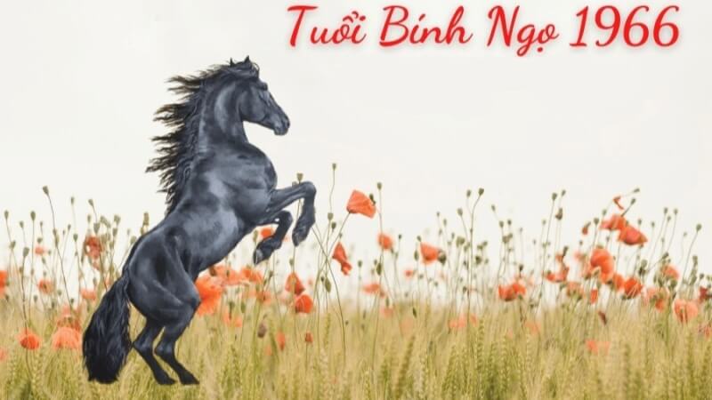 Tính cách người sinh năm 1966