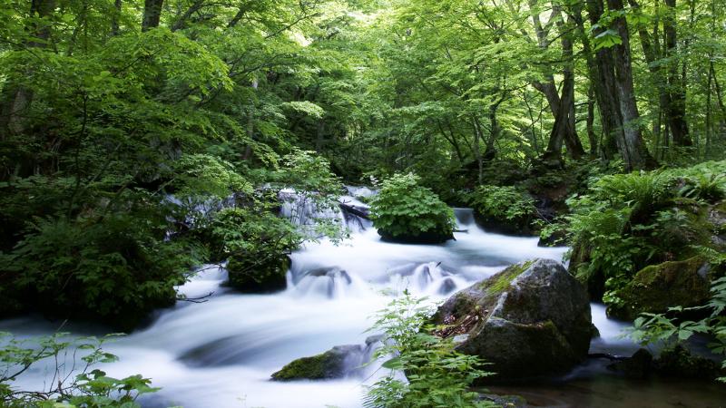 Người sinh năm Ất Mão mệnh Thủy