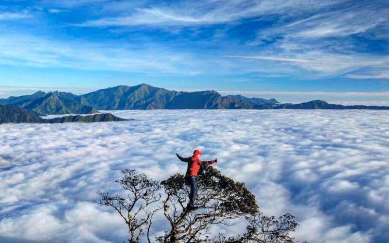 Người yêu thiên nhiên sẽ hòa mình giữa biển mây trắng.