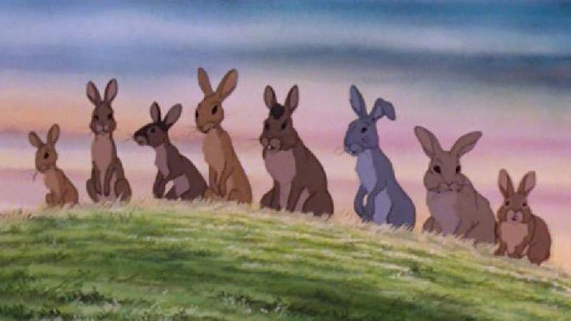 Watership Down