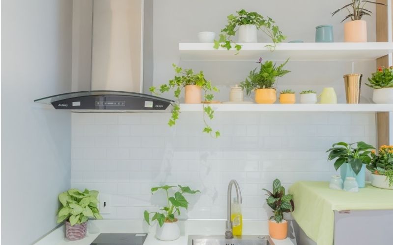 Trong nhà bếp, thực hành Zero Waste giúp giảm rác thải, tiết kiệm chi phí và bảo vệ môi trường