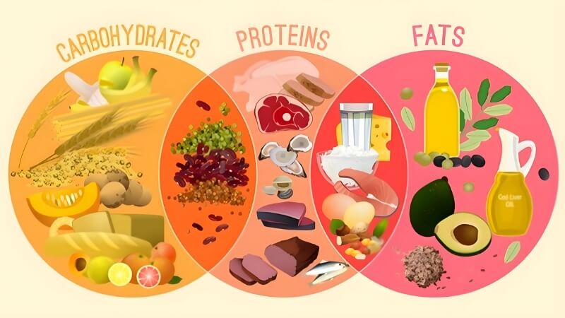 Chia tỷ lệ Macro phù hợp Chia tỷ lệ Macro phù hợp