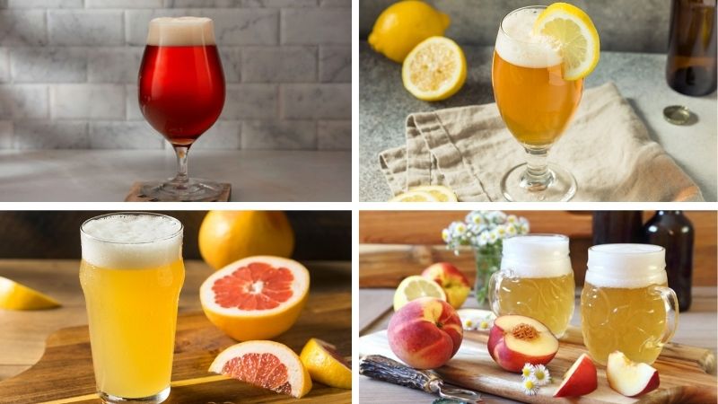 Phân loại bia trái cây