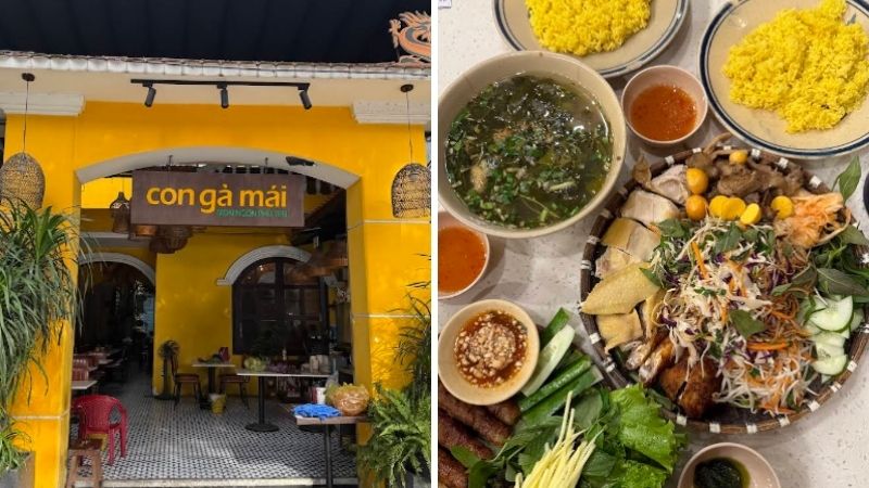 Con gà mái Con gà mái