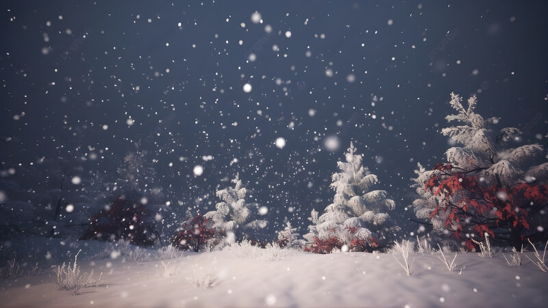 Hình Giáng sinh phong cảnh tuyết cây thông lớn phủ tuyết trắng, tạo điểm nhấn giữa nền trời lạnh giá