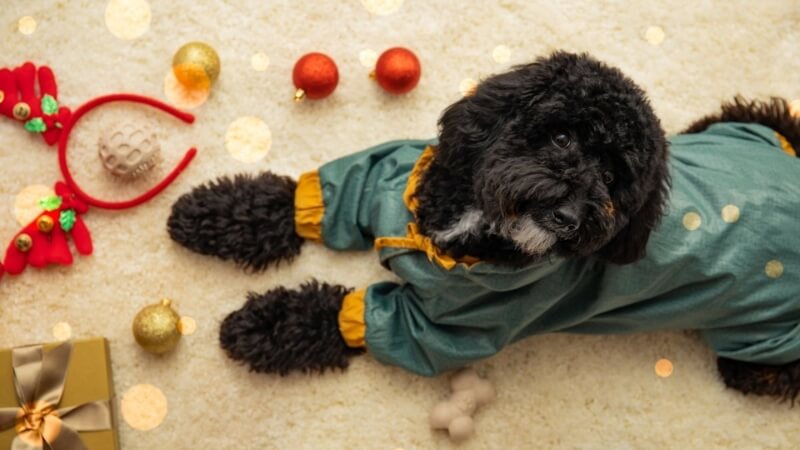 Hình nền Giáng sinh cho máy tính thiết kế phẳng, họa tiết đơn giản thích hợp màn hình desktop lớn