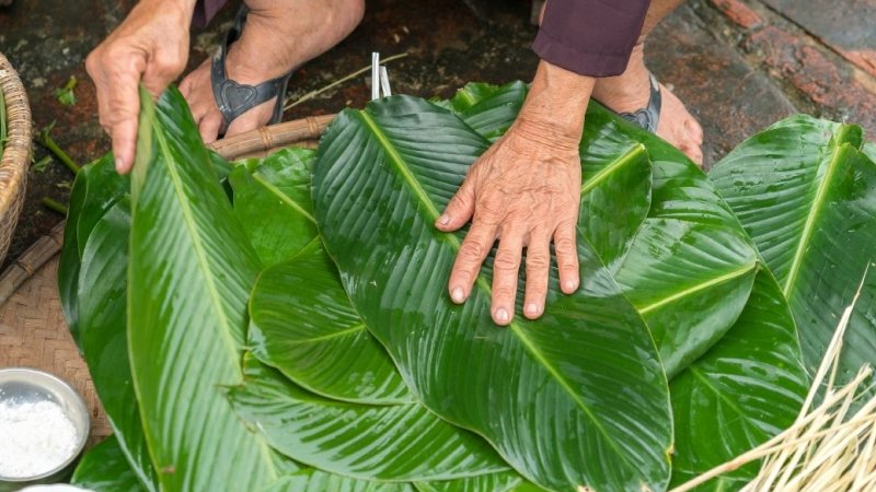 Cách sơ chế lá dong trước khi gói Cách sơ chế lá dong trước khi gói
